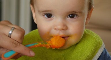 Premiers aliments