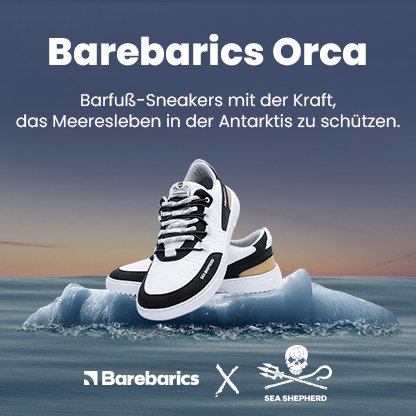 Größe 38 | Barefoot Sneakers Barebarics Revive X Sea Shepherd - Orca | Be Lenka
