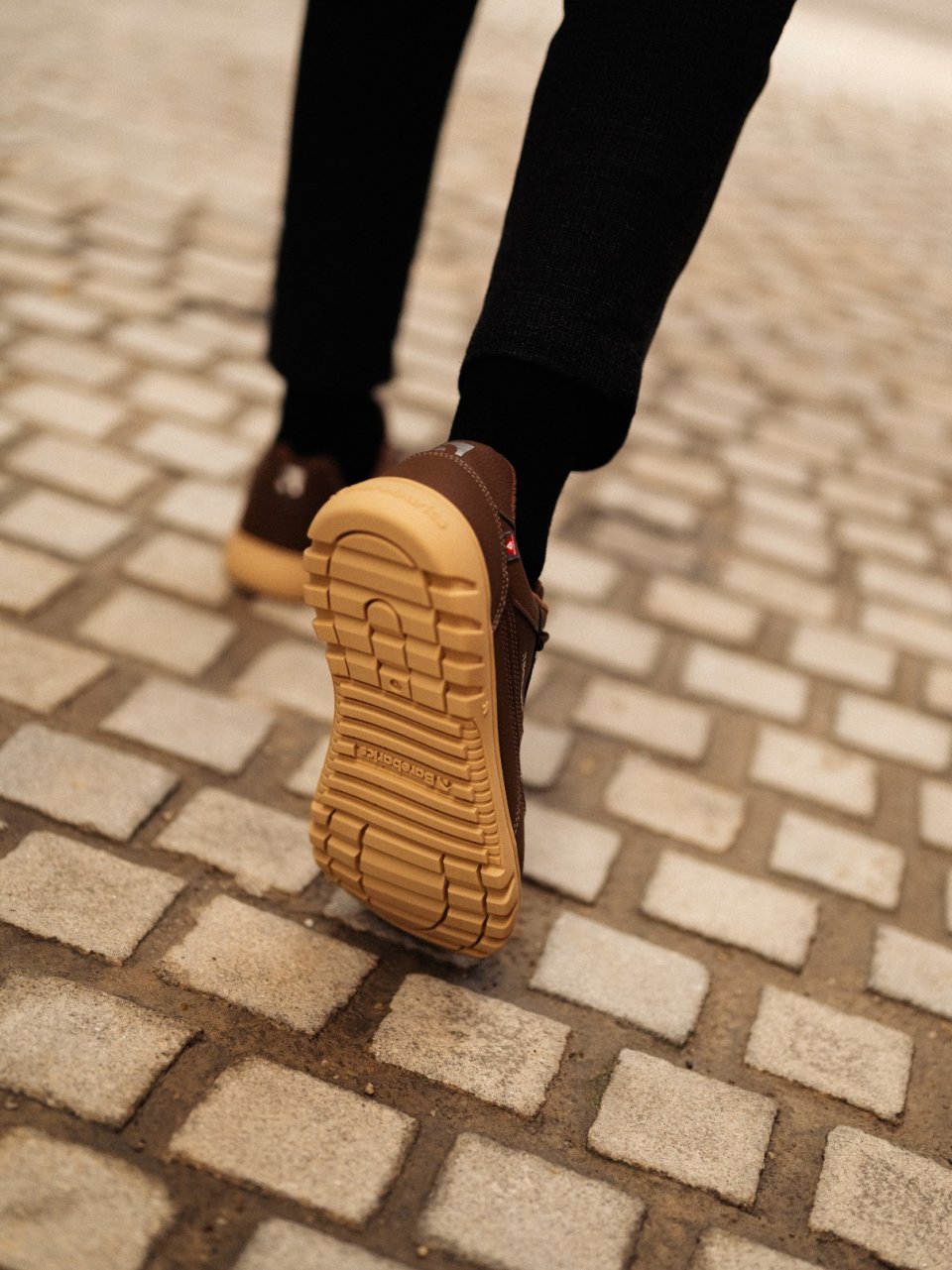 Barefoot Sneakers Barebarics Zing Frost - Dark Brown