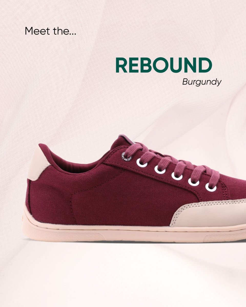 Your favorite Rebound just…